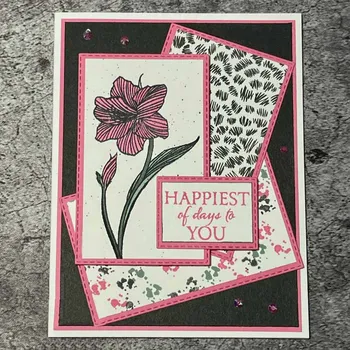 Amaryllis Floare de Timbru Flori Sentimente mai Fericite Zile La Tine Clar Timbre pentru DIY Scrapbooking Carte de a Face Meserii
