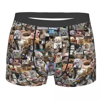 Final Trist Pisici Meme Chiloți de Bumbac Chiloți pentru Bărbați Lenjerie de corp pantaloni Scurți Confortabil Boxeri