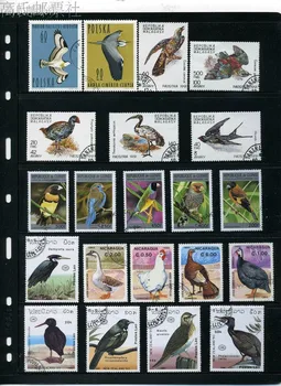 Noi 50Pcs/Mulțime de Păsări Papagal Eagle Toate Diferite Din mai Multe Țări NU Repeta Timbre Poștale Neutilizate pentru Colectarea