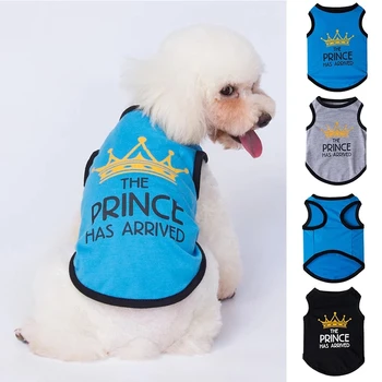 Vara Câine Drăguț T-shirt Catelus Chihuahua Haine de Companie Casual din Bumbac Vesta Prințul Moștenitor de Imprimare t tricoul Costume