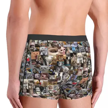 Final Trist Pisici Meme Chiloți de Bumbac Chiloți pentru Bărbați Lenjerie de corp pantaloni Scurți Confortabil Boxeri Imagine 2