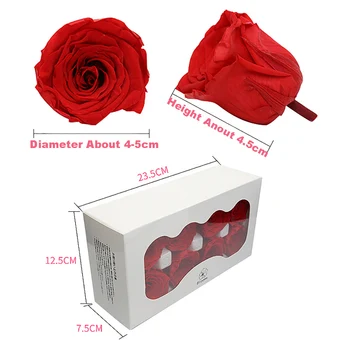 8pcs/Cutie 4-5cm DIY Naturale Conservate Flori Nemuritoare a Crescut Capul de Trandafir Uscate Decor Nunta de Ziua de nastere Cadouri de Ziua Îndrăgostiților Imagine 2