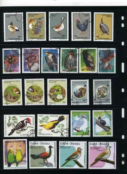 Noi 50Pcs/Mulțime de Păsări Papagal Eagle Toate Diferite Din mai Multe Țări NU Repeta Timbre Poștale Neutilizate pentru Colectarea Imagine 2