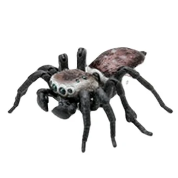 Bandai Reale Gashapon Simulare Insecte Carte Biografică Păun Păianjen Păianjen Păianjen Săritor De Acțiune Figura Jucarii Imagine 2