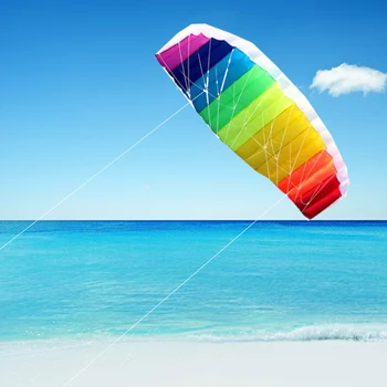 Transport gratuit 270cm linie dublă mare Parafoil zmee zbor de Sport Beach stunt zmeu bara de control jucării în aer liber kitesurf ikite fabrica Imagine 2
