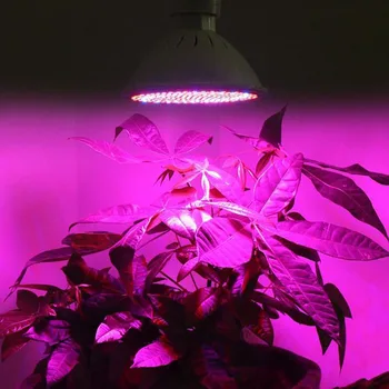 Phytolamp Spectru Complet 20W LED-uri Cresc Lampa E27 LED Lumina Pentru Plante Cresc de Lumină Roșie Led-uri Albastre Pentru Plante Floare de Creștere Bec Imagine 2